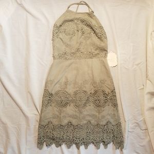 Altard State Open Back Dress